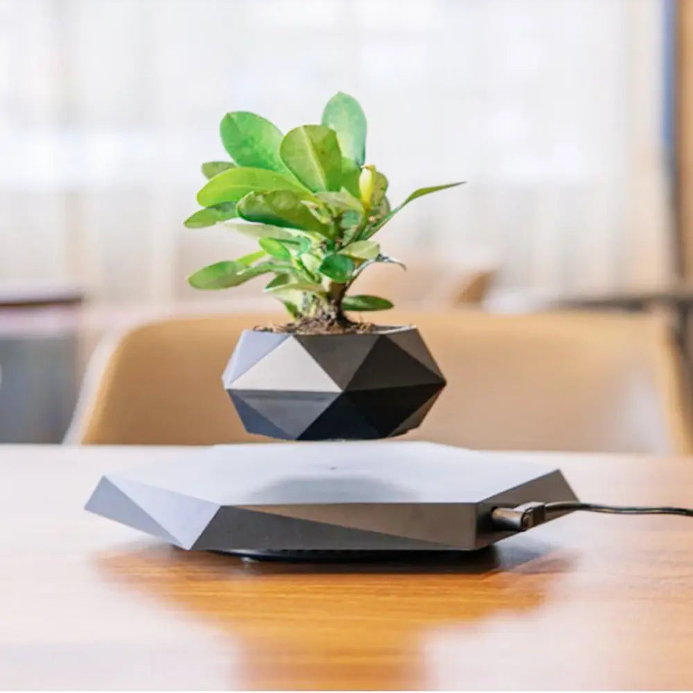  Magical Floating Bonsai Pot 